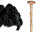 Black feather sample with the brass-finish carved stem, shown on white for this Clérachic chandelier.