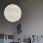 A large Clérachic sphere with a pale, finely textured shell hangs near a grey wall, beside a framed picture and a plant.