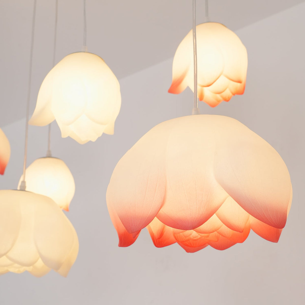 Close view of a large pink-edged water-lily shade from this Clérachic chandelier, glowing warm with smaller white buds hanging around it.