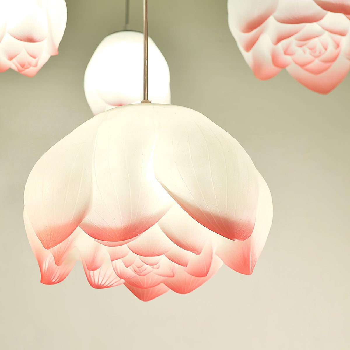 Large close view of one pink-tipped water-lily shade from this Clérachic chandelier, showing the ribbed petals glowing against a pale green wall.