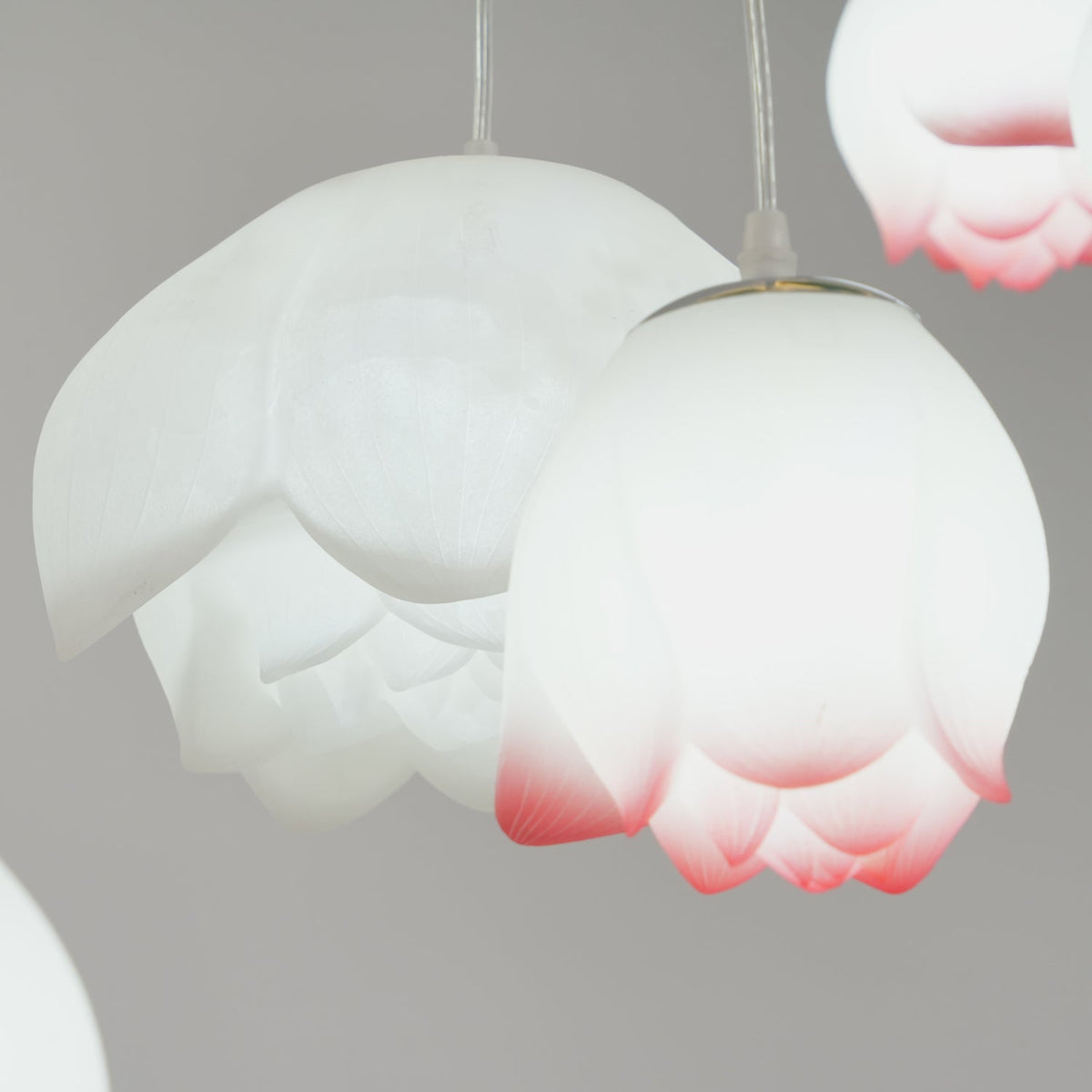 Close view of a white water-lily shade and a pink-tipped one from this Clérachic chandelier, showing the fine veining in the petals.