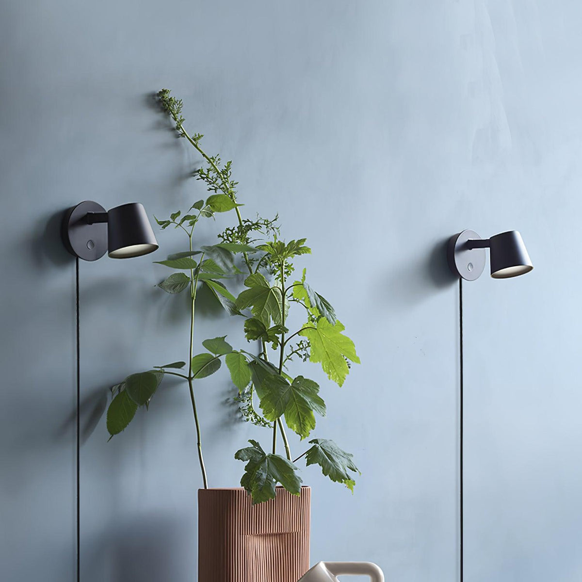 Two Clérachic wall lights, one black and one pale grey, mounted on a blue plaster wall beside a leafy plant in a terracotta vase.