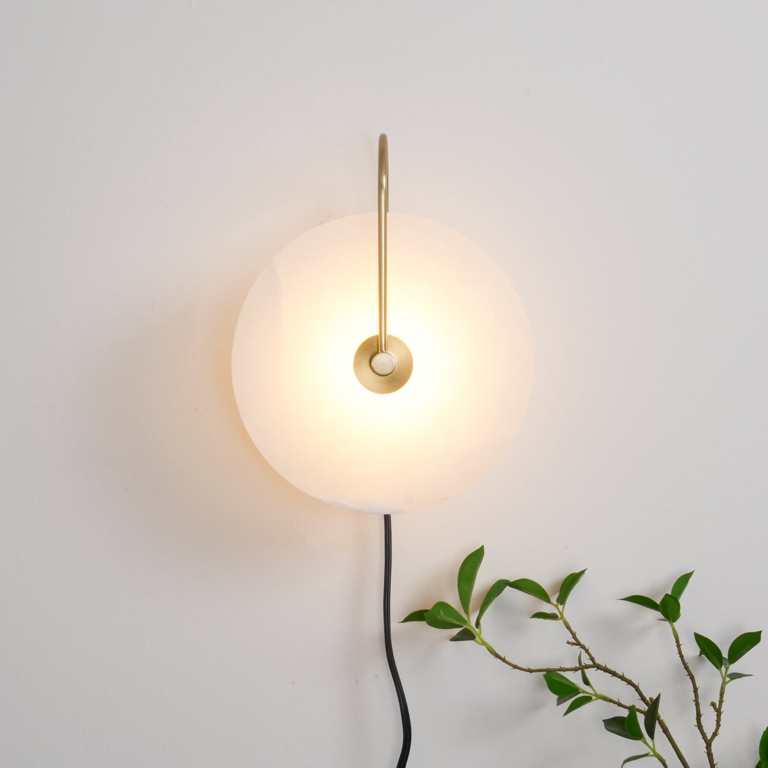 Clérachic Plug-In Wall Sconce glowing on an off-white wall, gold arm and black cord with a plant tip at the lower edge.