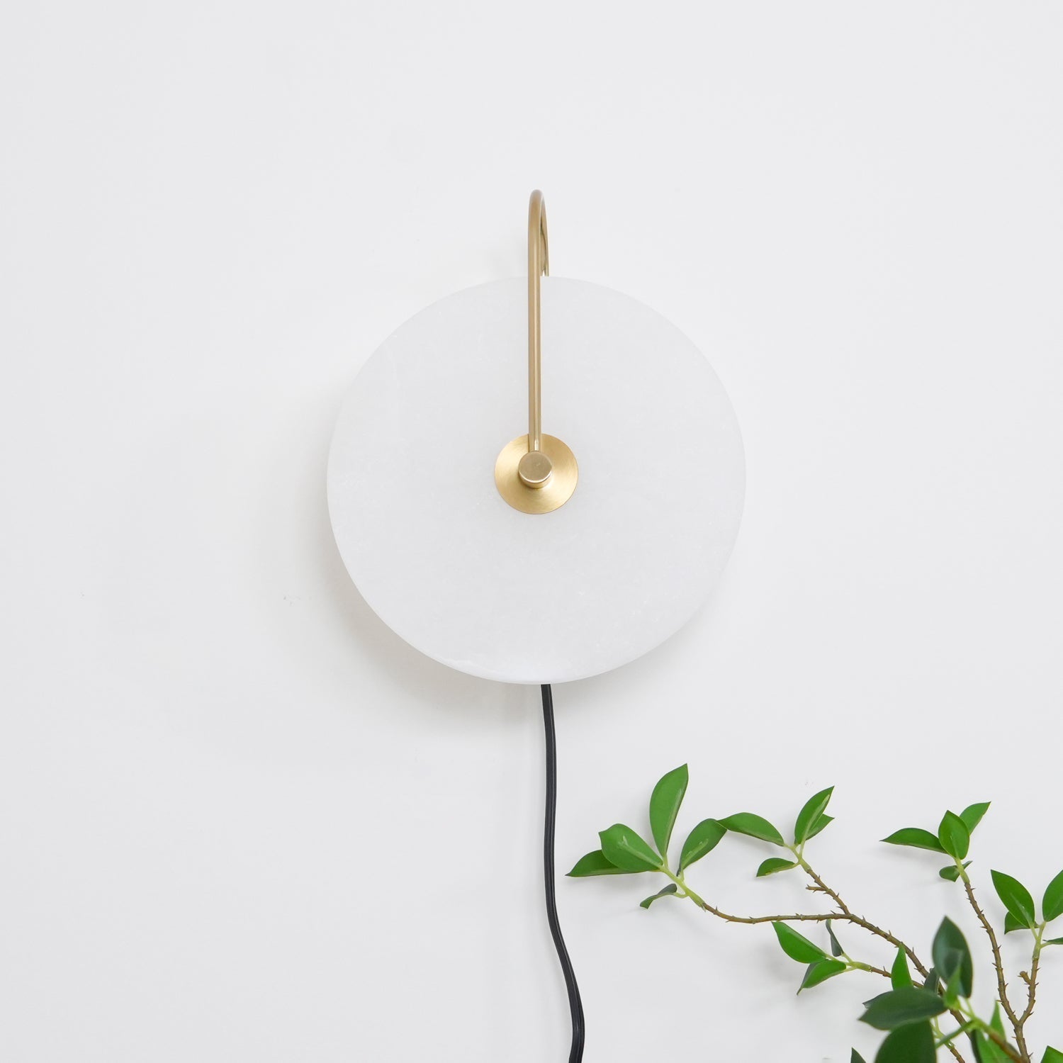 Evenly lit Clérachic Plug-In Wall Sconce showing the gold hook arm and black cord beside a leafy branch on a white wall.