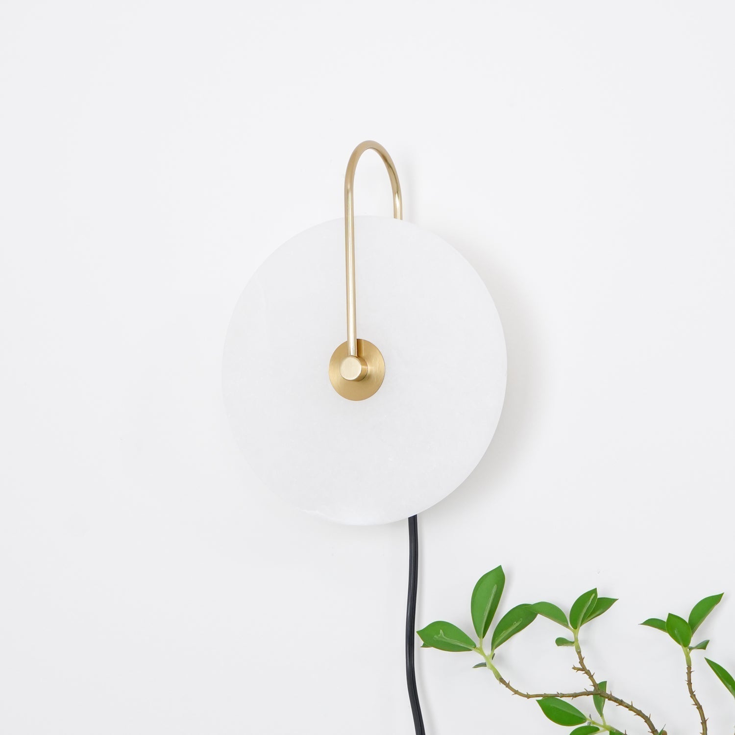 Clérachic Plug-In Wall Sconce on a white wall, satin gold arm and black cord beside a leafy plant with brown stems.