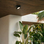 Clérachic recessed downlight in black with a frosted lens, lit in a wood-slat ceiling beside a white column and a banana-leaf plant.