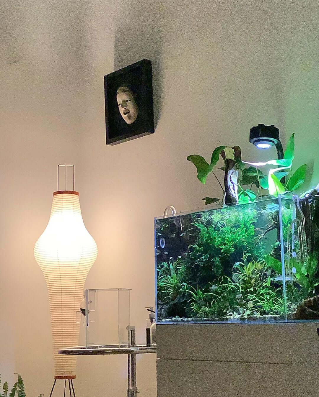 Clérachic tall waisted rice-paper floor lamp lit in a dim room beside a planted aquarium, a small dark portrait hanging above it.