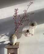 Clérachic round alabaster sconces lit on plaster beside blossom branches in a vase.