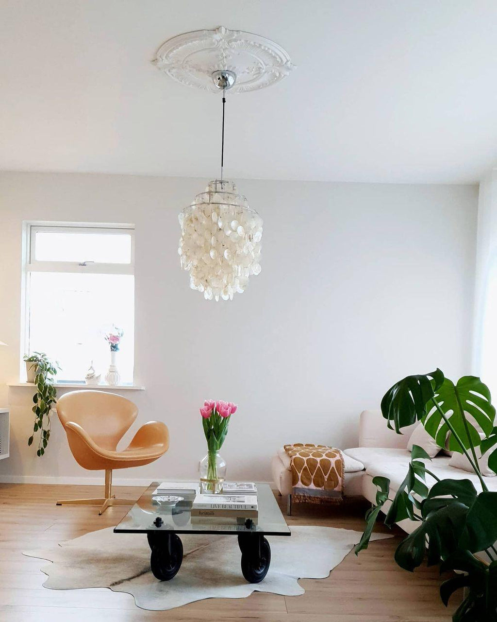 Compact Clérachic shell chandelier hung from a white ceiling rose in a living room with a tan armchair and a large monstera.