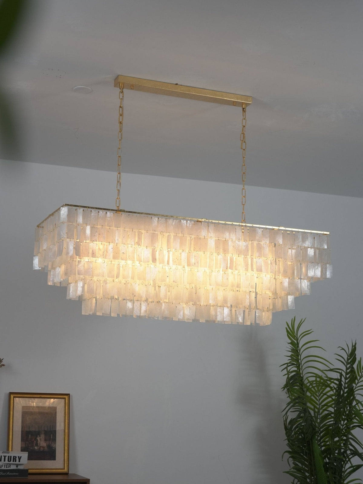 Lit rectangular Clérachic shell chandelier with a gold bar and chain, hung against a grey wall with a plant at one side.