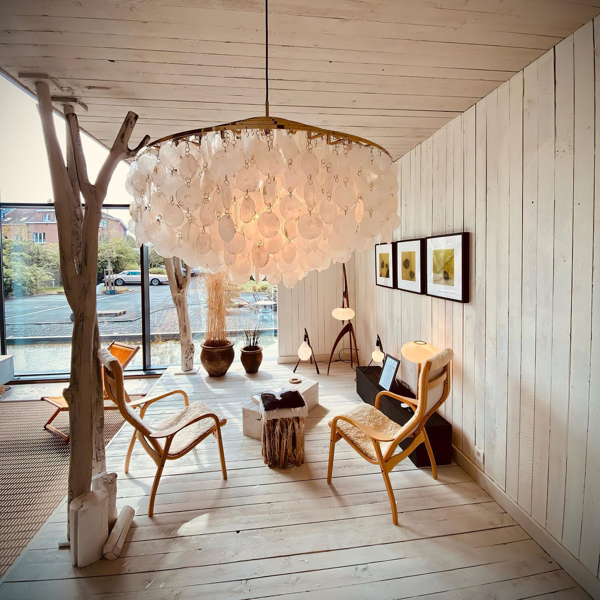 Large Clérachic shell chandelier lit warm in a whitewashed timber room with wooden lounge chairs and a bare driftwood trunk.