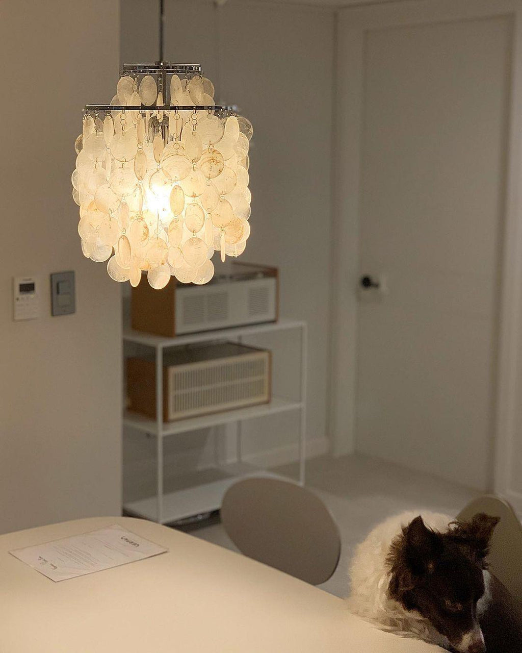 Lit Clérachic shell chandelier with a chrome frame glowing in a plain hallway, a white shelf and a sleeping dog nearby.