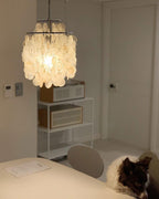 Lit Clérachic shell chandelier with a chrome frame glowing in a plain hallway, a white shelf and a sleeping dog nearby.