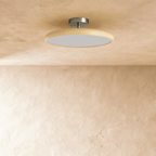Clérachic cream-rimmed round ceiling light switched off, showing the flat white diffuser and brushed metal canopy.