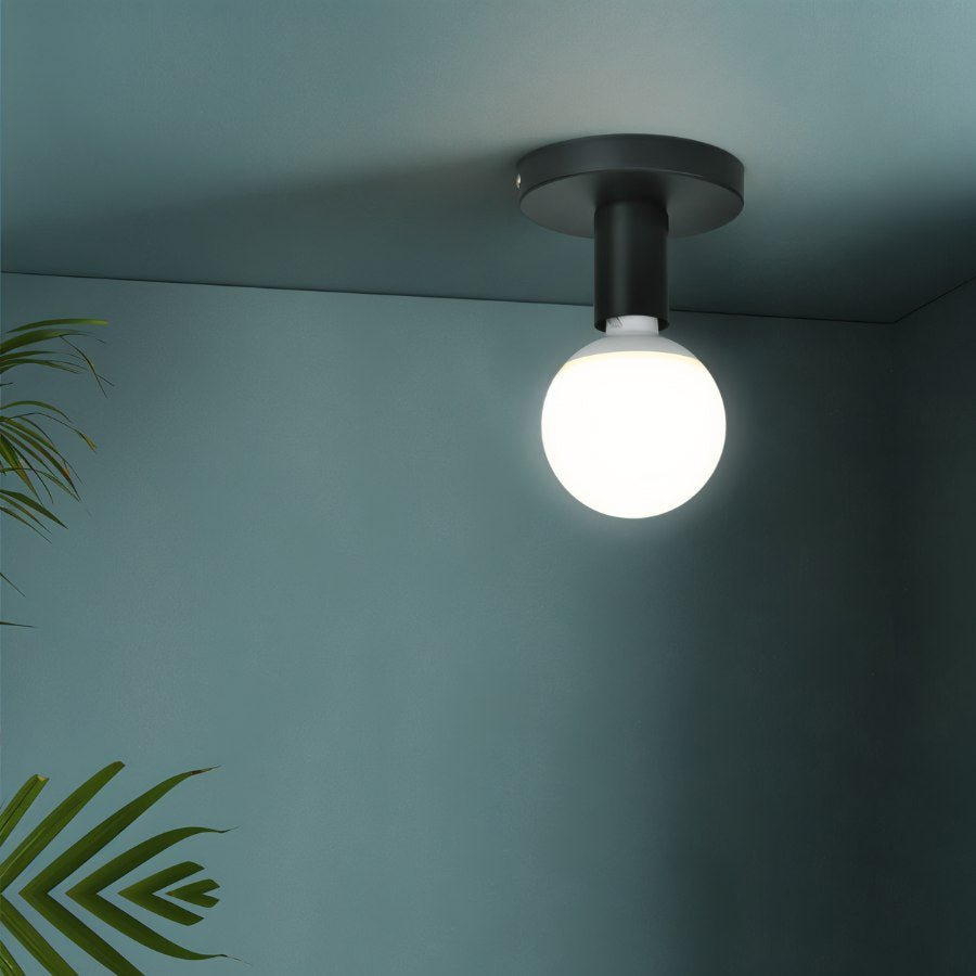 Clérachic black ceiling light with a lit frosted globe against a teal-grey wall, with palm leaves in the corner.