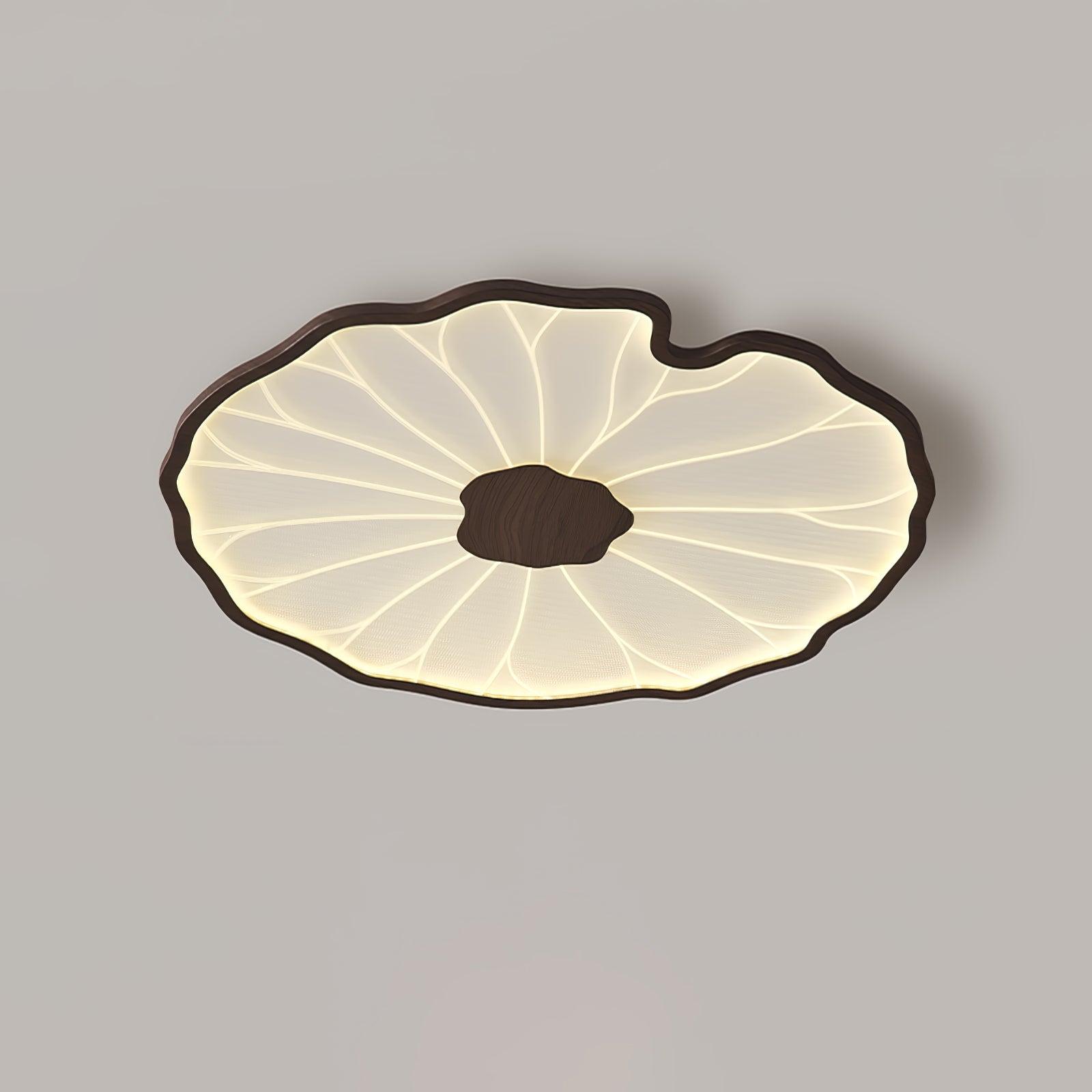 The Clérachic ceiling light in dark walnut finish, warmly lit with a soft shadow cast beneath it.