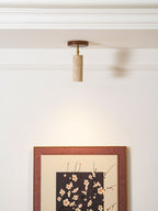 Clérachic travertine spotlight on the ceiling above a large framed blossom print, with a soft pool of light on the white wall.