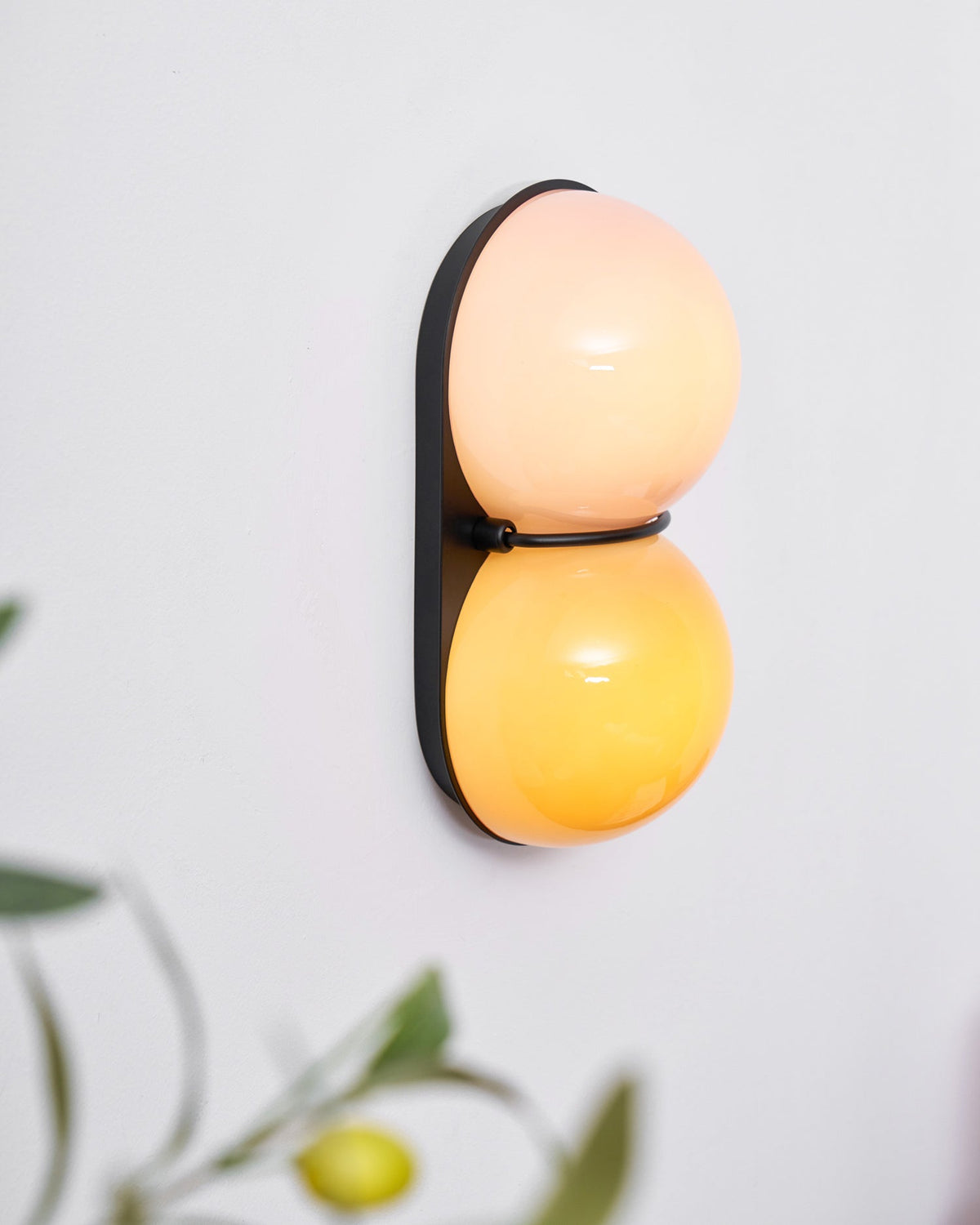 With a faint lemon plant in the foreground, this Clérachic sconce glows peach above and amber below on a black oval plate.