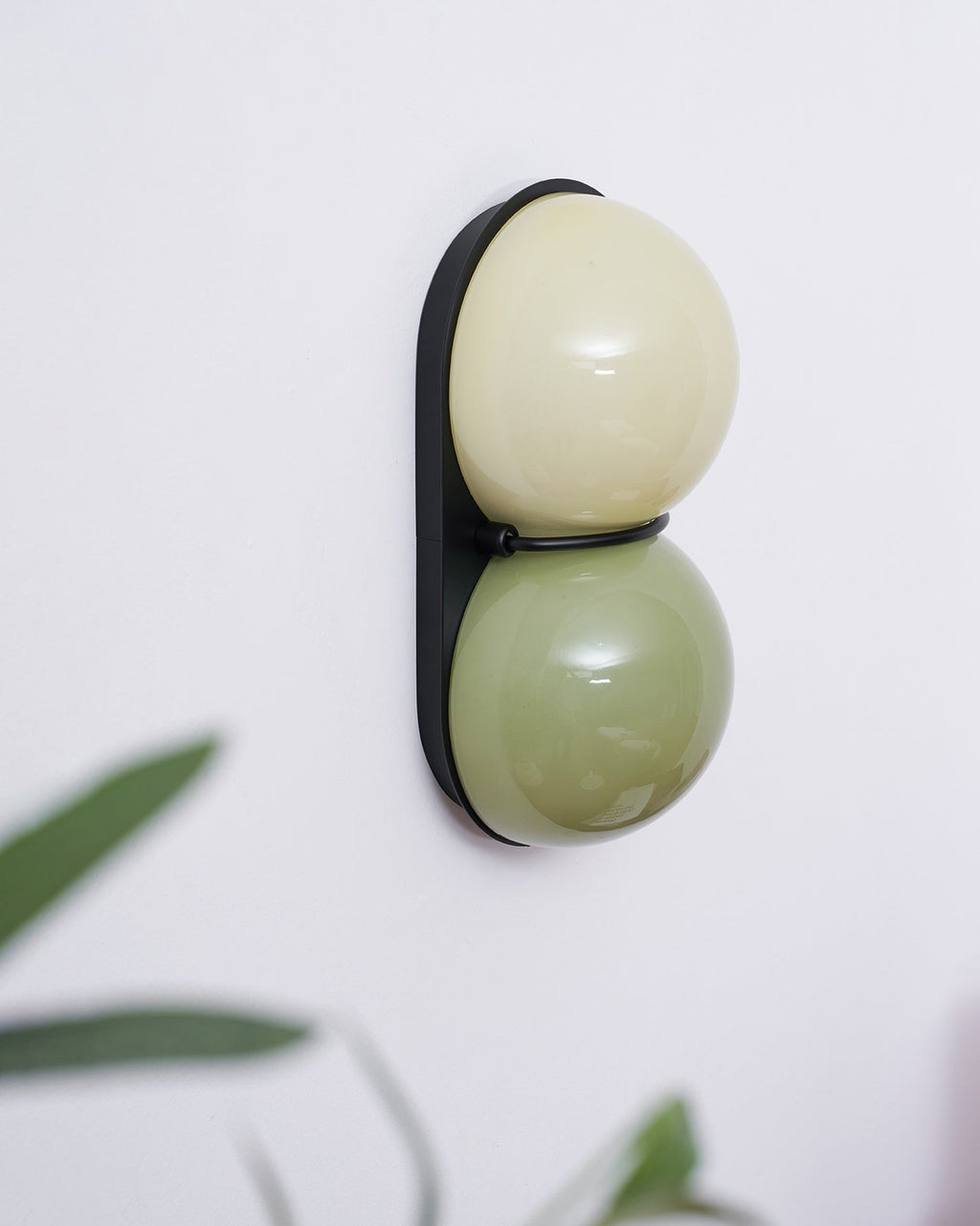 Soft focus leaves frame this Clérachic wall light, with sage-green and cream globes on a black oval plate on a white wall.