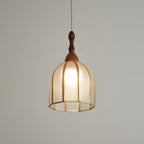 Warm-lit Clérachic domed pendant with brass ribs, photographed on a grey backdrop with its wooden cap above.