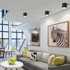 Clérachic black surface-mounted downlights spaced across the ceiling of an open-plan living room with a grey sofa and framed zebra print.