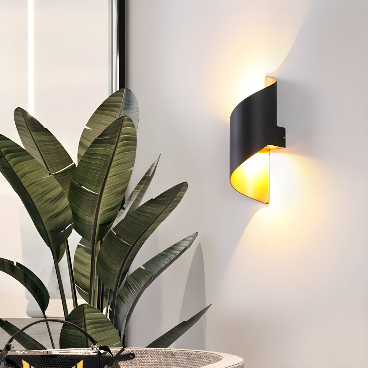 Black Clérachic wall light lit beside the broad leaves of a large plant, its inner gold tone glowing below.