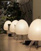 Four Clérachic paper lamps in different sizes lined up in a bright showroom among green plants.
