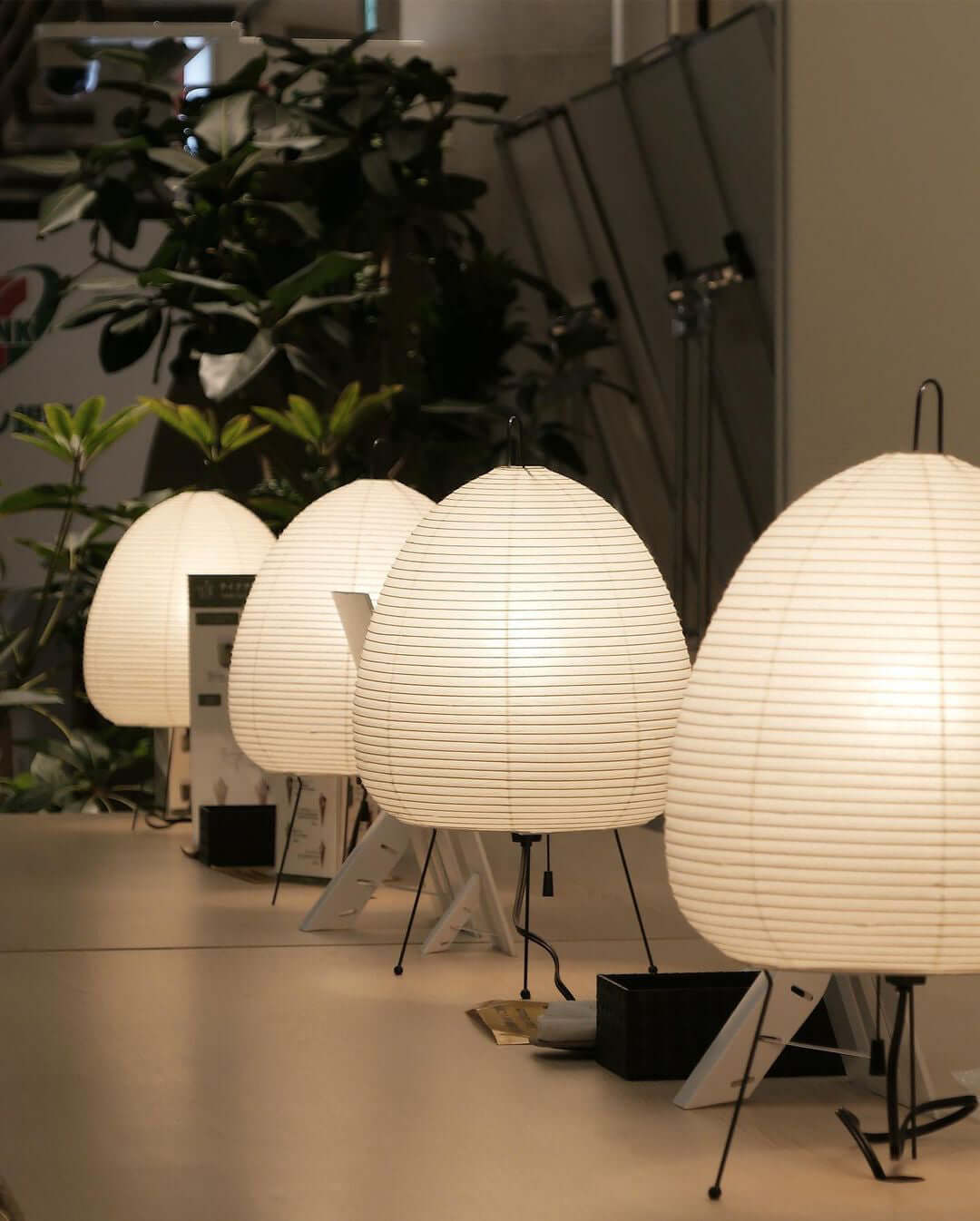 Four Clérachic paper lamps in different sizes lined up in a bright showroom among green plants.