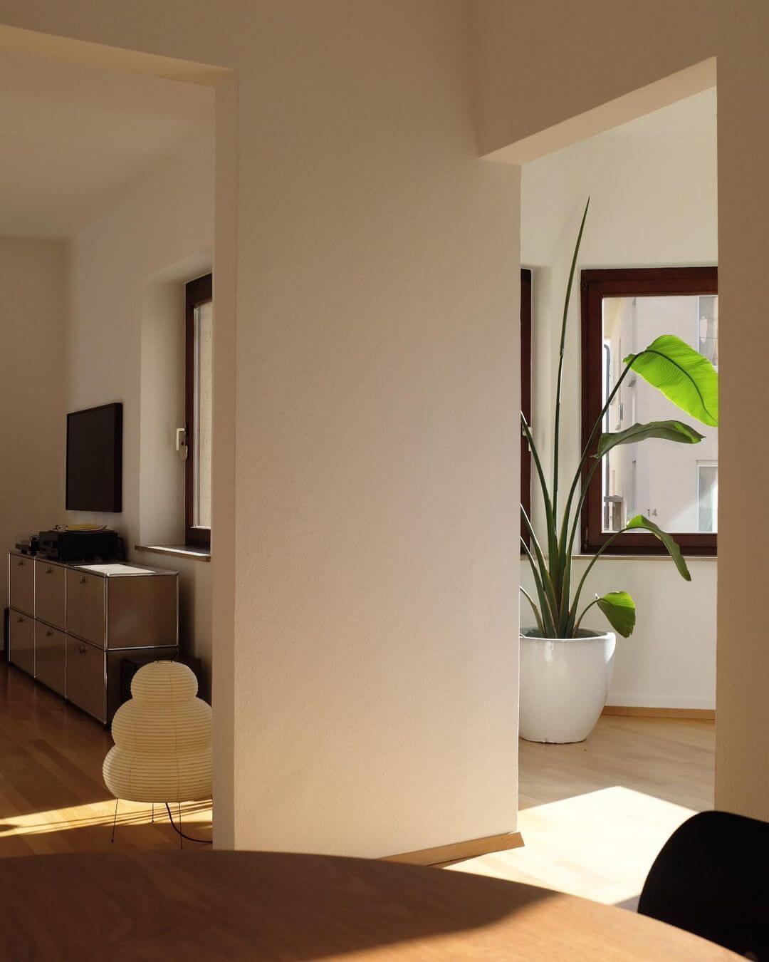 A small tiered Clérachic paper lamp seen through a doorway, lit on a wooden floor in a bright room with a plant.