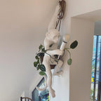 A white monkey wall light from Clérachic hangs by a dark cord near a window, with a trailing green plant wound around it.