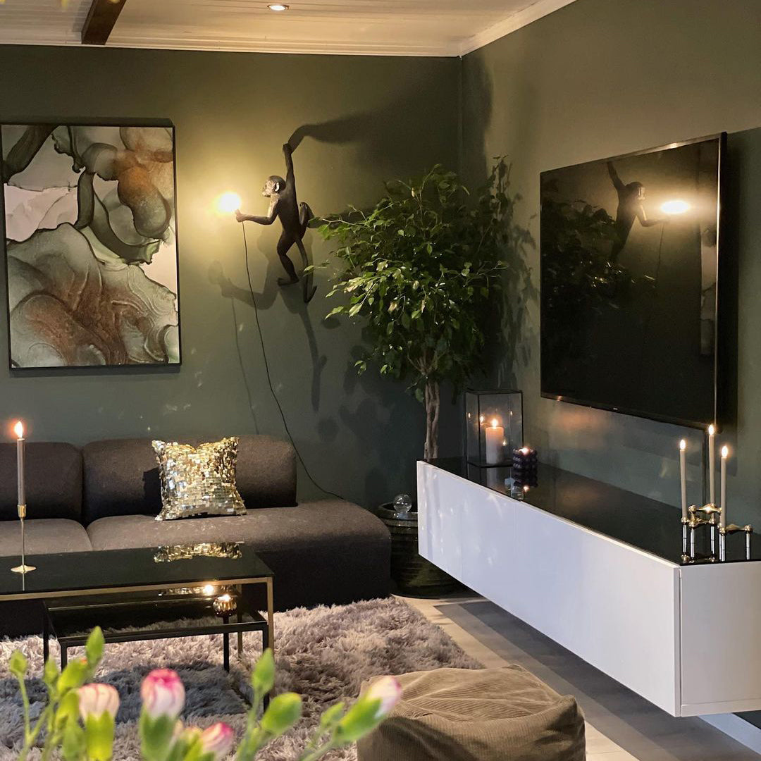 Far across a dark green living room, a black Clérachic monkey wall light glows above a sofa, a television and a fig tree.
