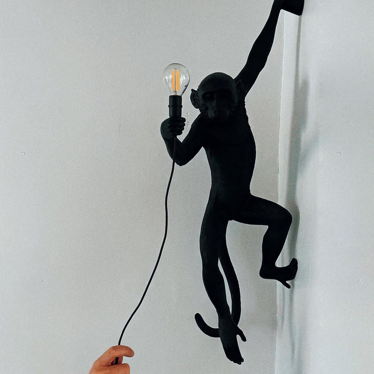 Black monkey wall light from Clérachic, close up on a pale wall, holding a filament bulb with its cord falling to a hand below.