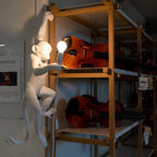 White monkey wall light from Clérachic holding a bulb beside wooden shelves, with violins on the shelf behind it.
