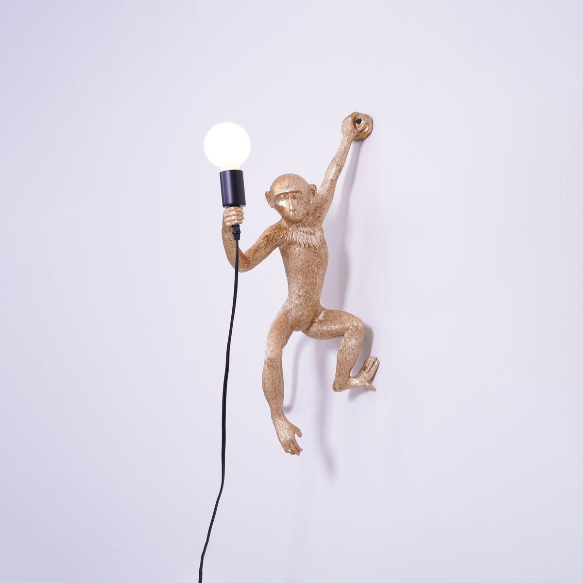 Gold monkey wall light from Clérachic on a plain lilac-white wall, a globe bulb in hand and a long black cord below.