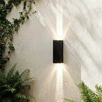 Framed by ferns and trailing ivy, this black Clérachic outdoor wall light sends soft beams up and down a textured wall.