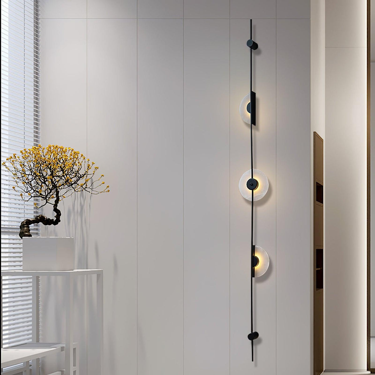 Tall black three-disc Clérachic sconce on a white panelled wall, with a small tree on a white stand at the left.