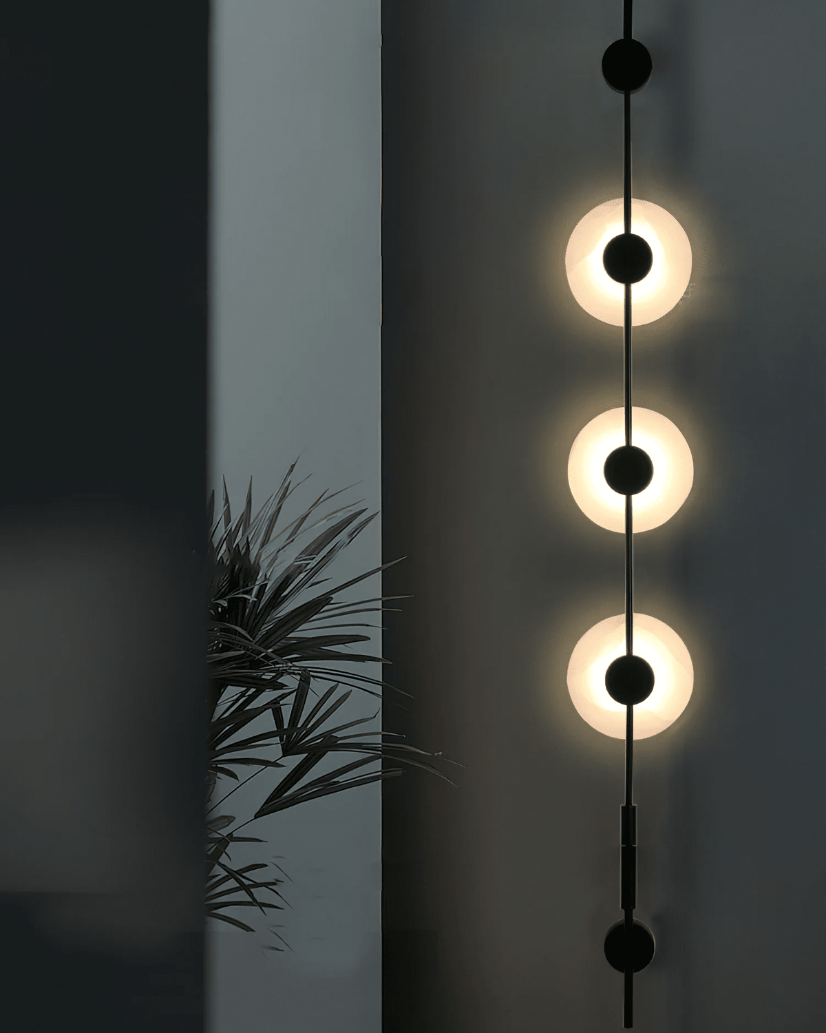 Close view of a black Clérachic sconce with three brightly glowing alabaster discs, a dark wall and a palm leaf behind.