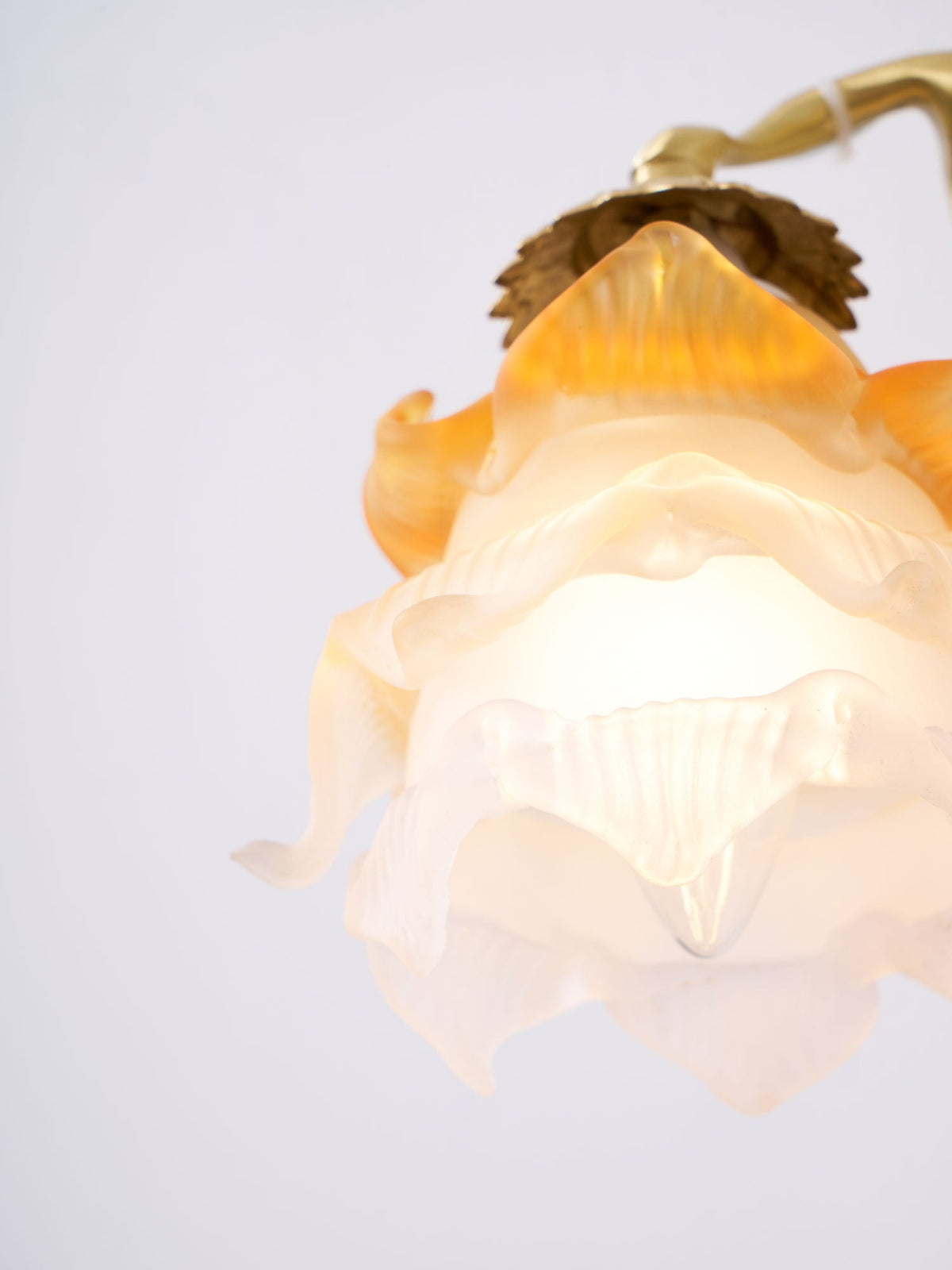 Close view of the lit glass rose shade on this Clérachic wall light, its petals shading from amber to frosted white.