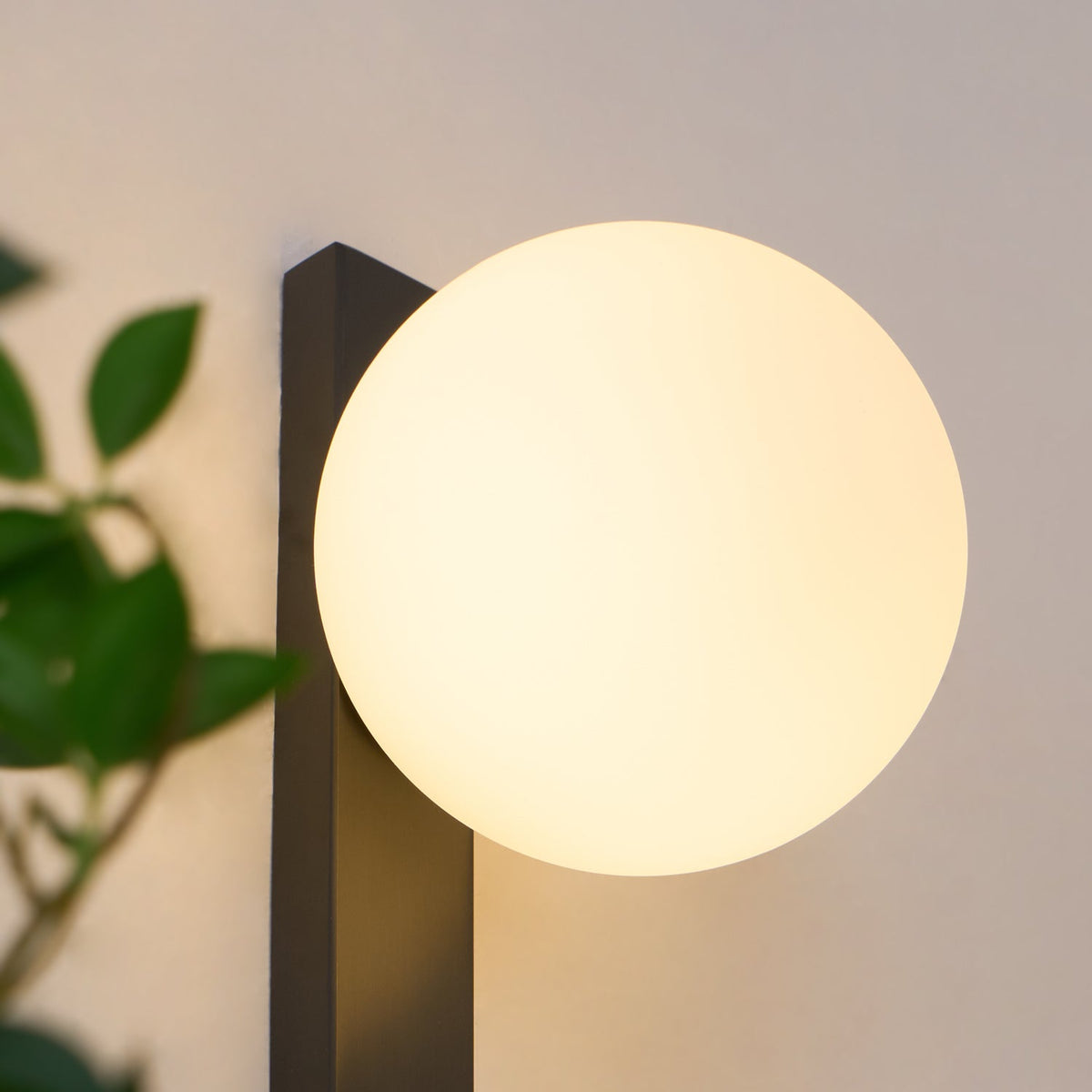 Close view of the cream glass globe and black metal bar of this Clérachic wall light, lit warm, with green leaves at the left.