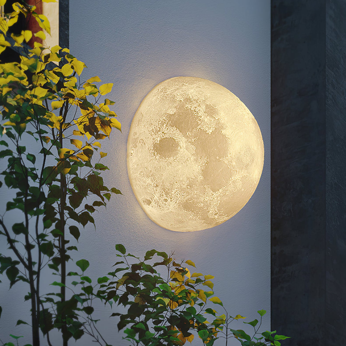 Round Clérachic moon wall light lit against an exterior wall at dusk, with yellow-leaved branches in front.