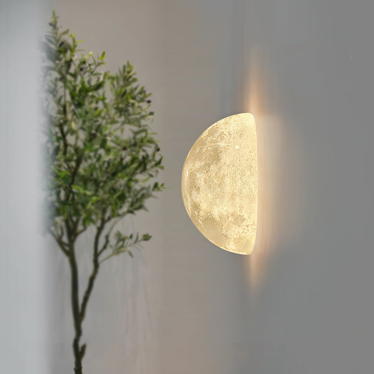 Clérachic half-moon wall light in profile on a grey wall, a warm glow along its edge and an olive tree beside it.