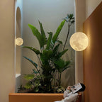 Round Clérachic moon wall light on a terracotta wall, with leafy plants below and a person reading on the floor.
