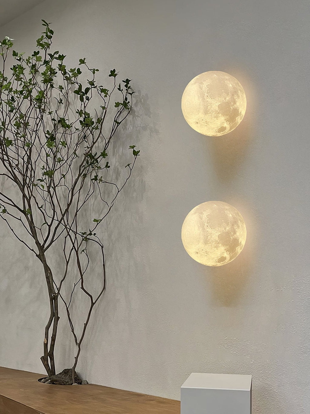 Two round Clérachic moon wall lights, one above the other, beside a bare branching tree in a pale hallway.