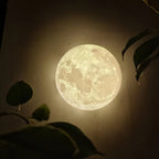 Round Clérachic moon wall light glowing in the dark behind the silhouettes of dark leaves.
