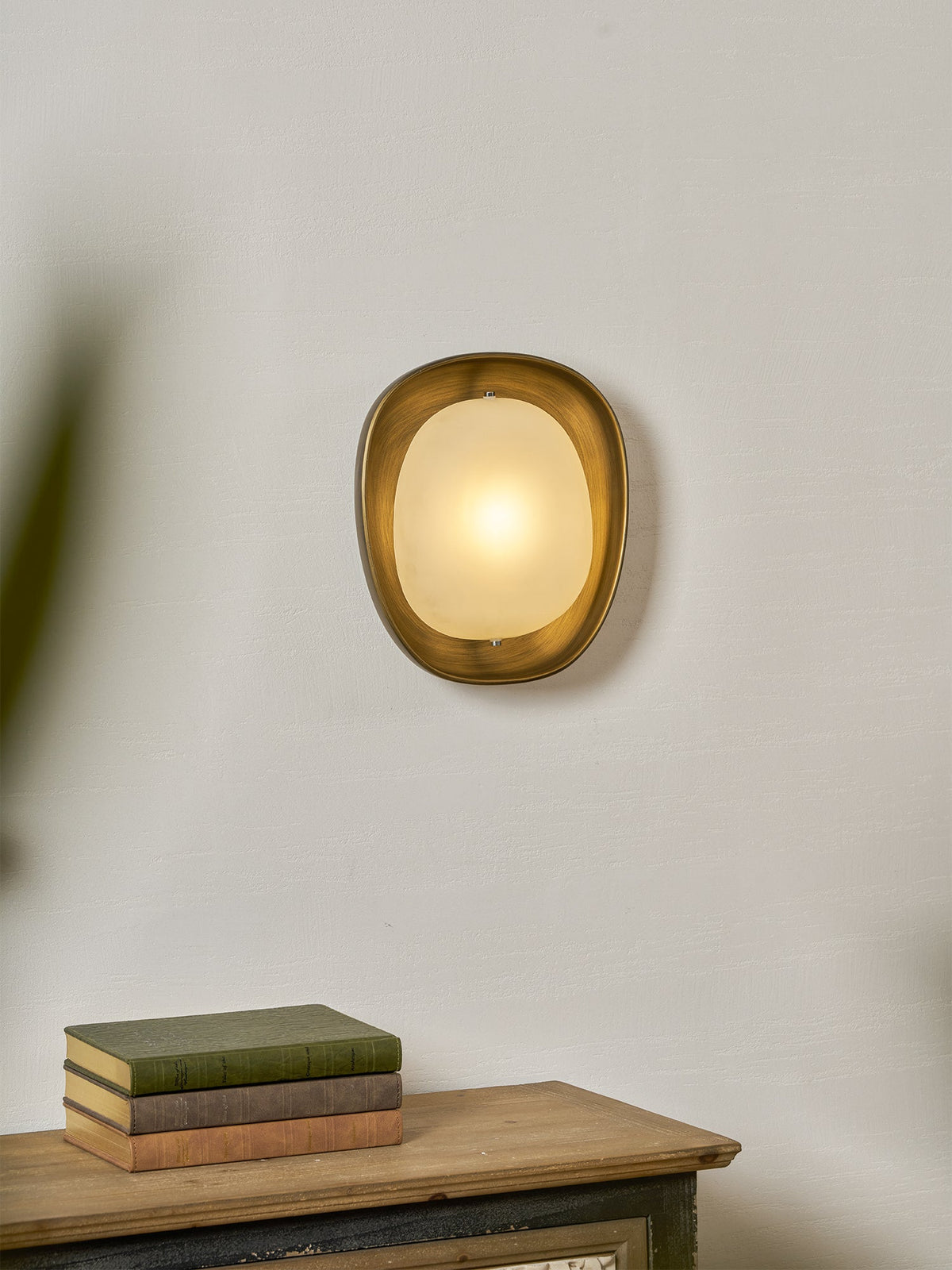 A softly blurred plant leaf frames this lit Clérachic wall light, which hangs over a sideboard and a stack of books.