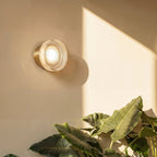 Clérachic round wall light with a ribbed glass shade on a gold wall plate, glowing warm beside sunlit leaves on a cream wall.