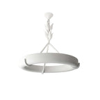 White ring with three slim struts and a leaf stem, this Clérachic ceiling light shown on white from slightly below.