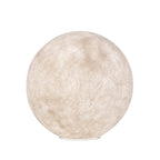A larger Clérachic sphere floor lamp on a white background, with the pale fibrous surface filling most of the frame.