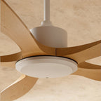 Close view of the Clérachic fan's white motor housing, round light disc and curved wood-grain blade roots under a warm plaster ceiling.