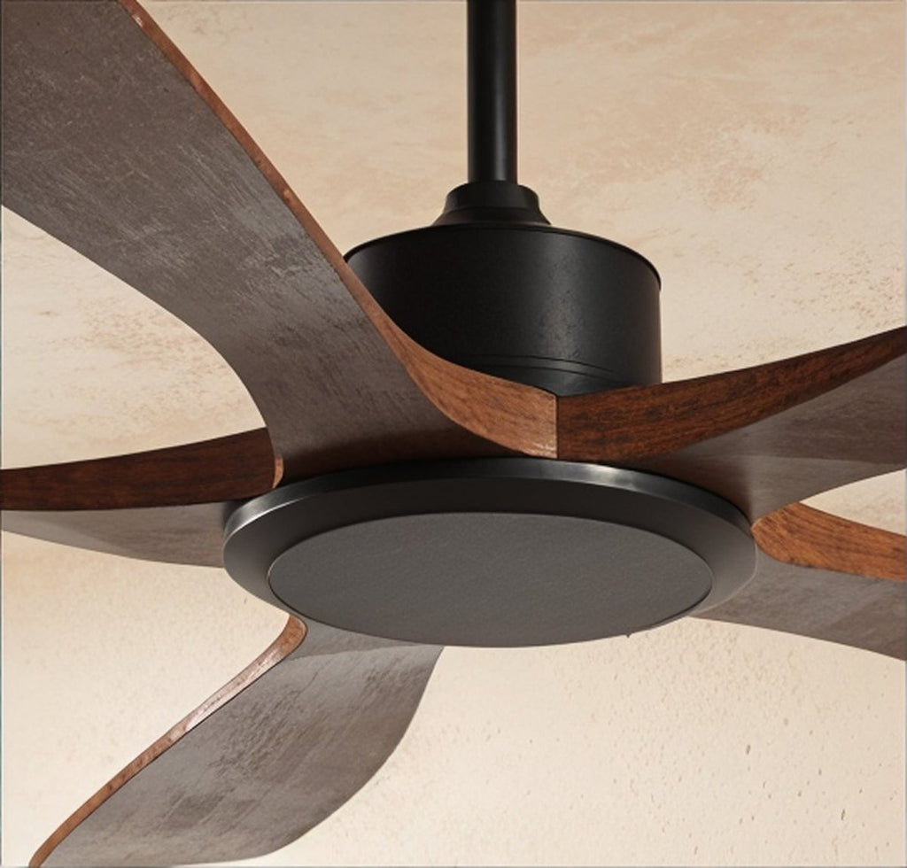 Close view of the Clérachic fan's black motor housing, dark light disc and deep walnut-toned blade roots against a plaster ceiling.